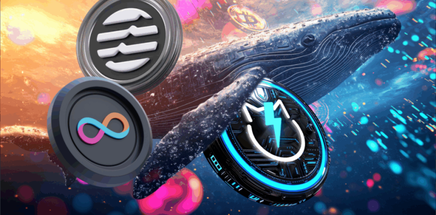 Best-Altcoins-to-Buy-Find-out-Why-Crypto-Whales-Love-These-3-Coins-1024x574.png