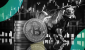 Bitcoin_bull-gID_7.png