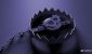 IMG_8282.jpeg