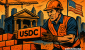 USDC.png