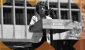 Waters-gID_7.jpg