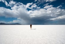 axa-im-insight-article-landscape-g490877568_4.jpg