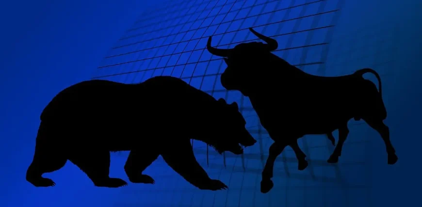 bear-bull-market-2.webp.webp