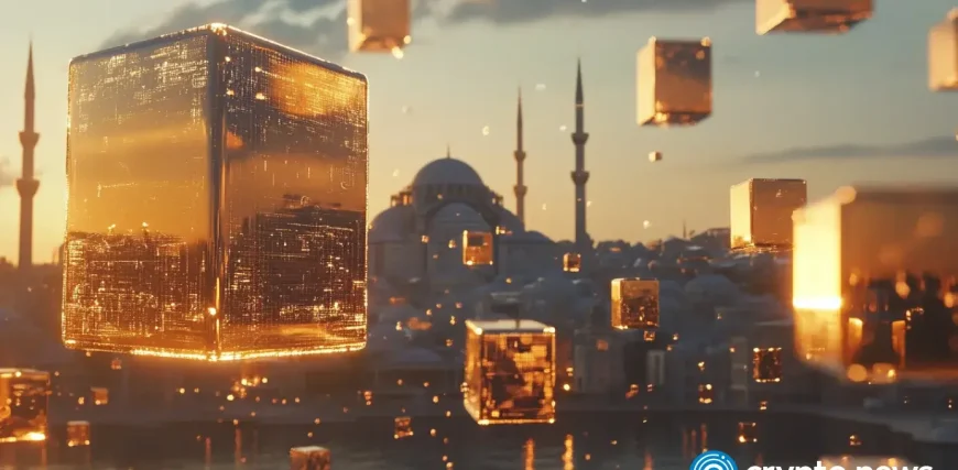 crypto-news-The-evolving-crypto-landscape-in-Turkiye-option02.webp.webp
