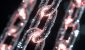 stock-image_optimized-47.jpg
