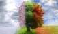 volatility-global-market-changing-seasons-652x419.jpg