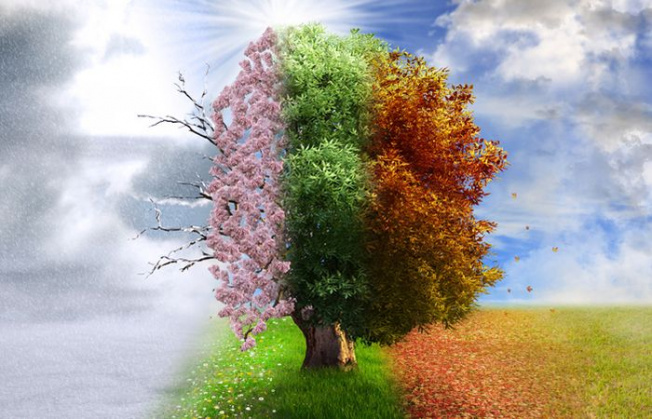 volatility-global-market-changing-seasons-652x419.jpg