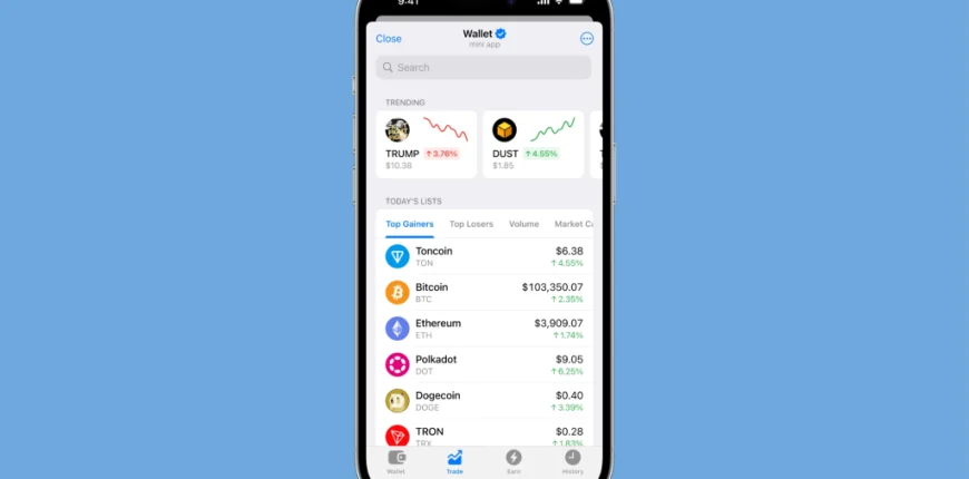 wersm-telegram-crypto-wallet.webp.webp