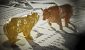 1717644019-Bull.jpg
