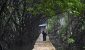 2025_07_31_164985_1753957297._large.jpg
