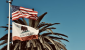 689cce1c32028.image_.png