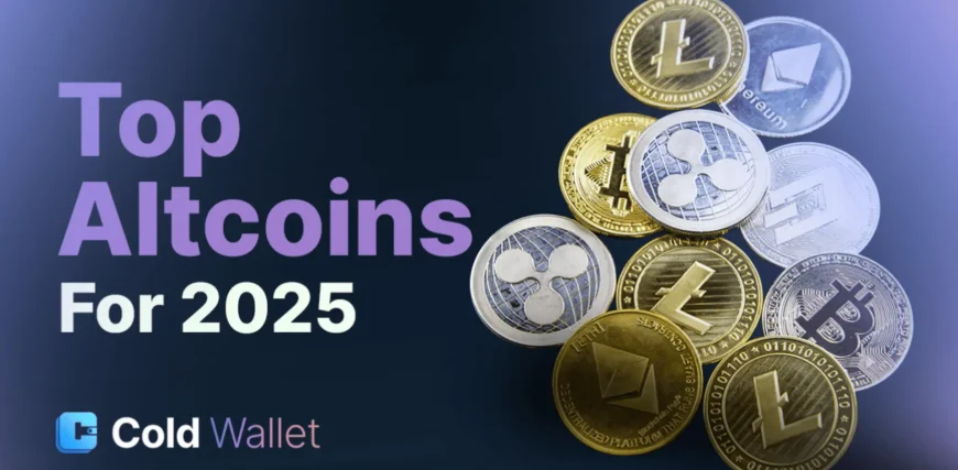 Cold-Wallet983124.webp.webp
