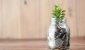 Stratiphy-partners-with-Moneyhub-to-streamline-funding-of-personalised-investments.jpg