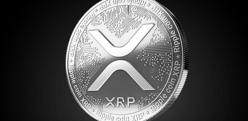 XRP-2-1-scaled.jpg