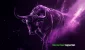 bull-purple-dark-5.webp.webp