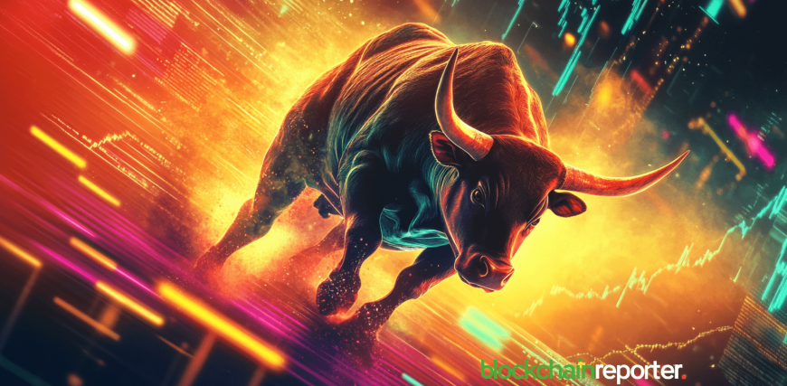 bull24-2.png