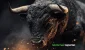 bull3.webp.webp