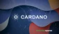 cardano-pp2-21.webp.webp