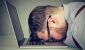 fed-up-man-16_9-1200x675.jpg