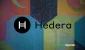 hedera4654657.webp.webp