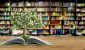tree-growing-from-book-a-big-open-book.jpg_s1024x1024wisk20cmvl5TnK6kVDTvEEuvHGOvX4mPGsuqPfWsA1XDCkO.jpeg