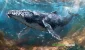 whale11-14.webp.webp