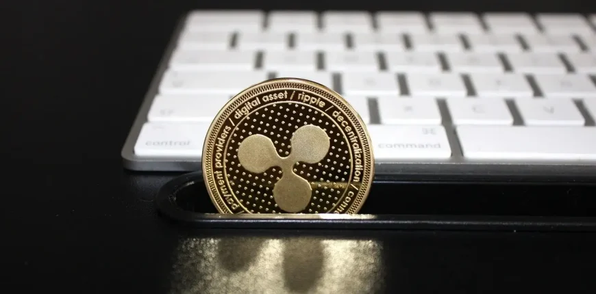 xrp-ripple-token.webp.webp