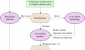 41599_2025_5590_Fig1_HTML.png