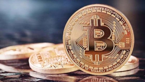 5208-crypto-the-investor-212802.jpg