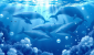 68d746b6c8d6b98ac937b0aa_68d746b59c647dd8dcc913ba_lastImage.png