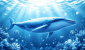 68d8cd053558277d5f447967_68d8cd0456b8c11ceea21297_lastImage.png
