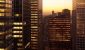 AdobeStock_1023445168_resize.jpg