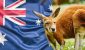 Australia-and-FX_id_cc8c29f4-2af4-45d0-a7ca-b43308e705af_size900.jpg