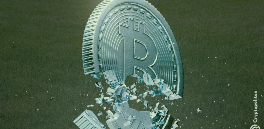 Crypto-treasury.webp.webp