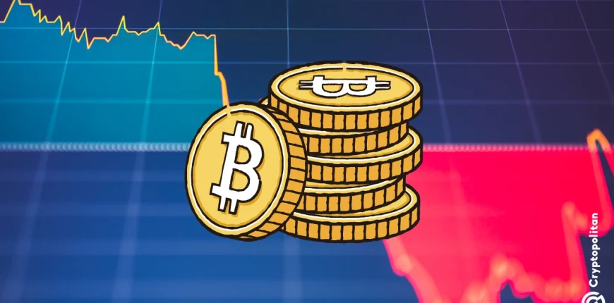 OECD-warns-most-crypto-investors-face-high-risks-from-low-literacy.webp.webp