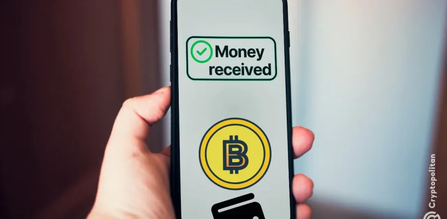 One-wallet-drew-in-375M-from-top-crypto-companies-is-this-the-biggest-direct-on-chain-investment.web_.webp