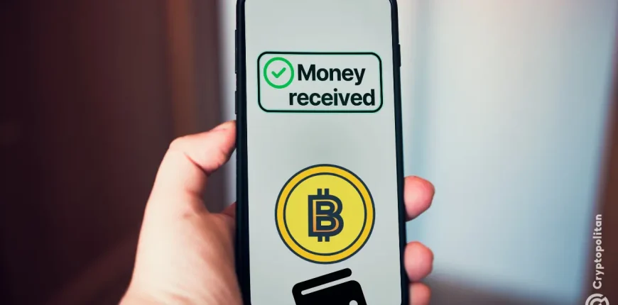 One-wallet-drew-in-375M-from-top-crypto-companies-is-this-the-biggest-direct-on-chain-investment.web_.webp