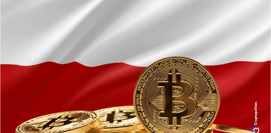 Poland-1.webp.webp