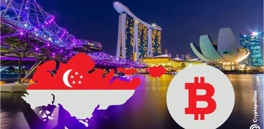 Singapore-UAE-crypto-adoption.webp.webp