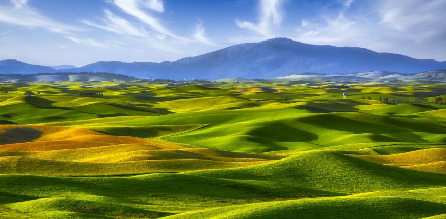 ab_valueinvestinginvolatiletimesstrategiesforashiftinglandscape_1600x760.jpg