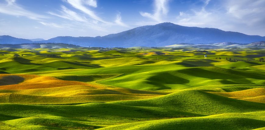 ab_valueinvestinginvolatiletimesstrategiesforashiftinglandscape_1600x760.jpg