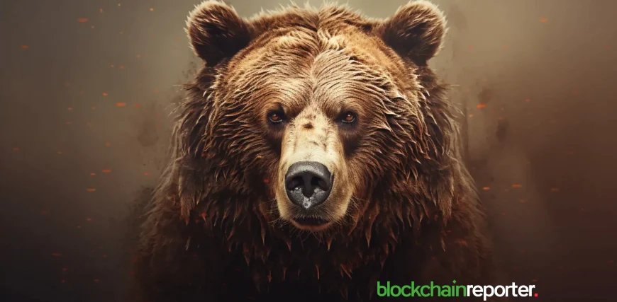 bear-5.webp.webp