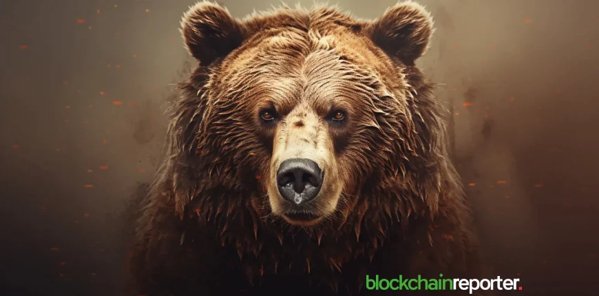 bear-5.webp.webp