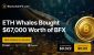 bfx-whale-0022.jpg
