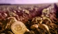 bitcoin-mining-in-belarus-minsk-belarus-majning-bitkoina.webp.webp