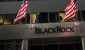 blackrock-esg-strategy.jpg