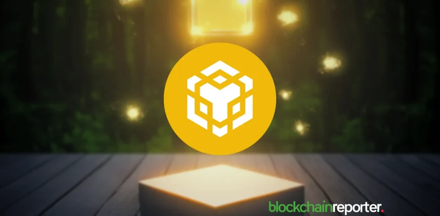 bnb-pp-41.webp.webp