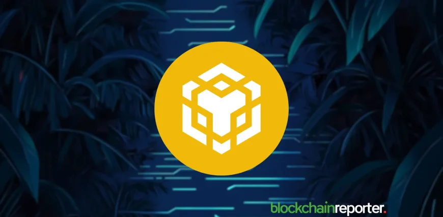 bnb478358345-16.webp.webp