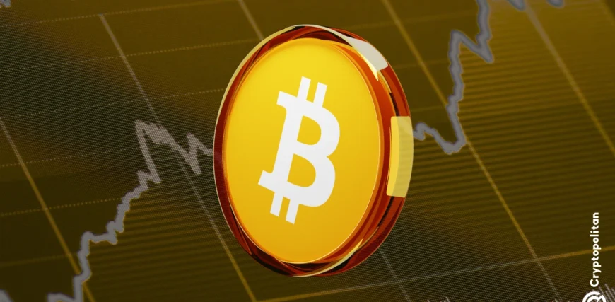 crypto-market-stabilizes-after-1-7b-flush.webp.webp