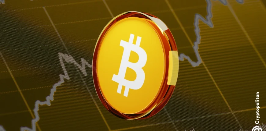 crypto-market-stabilizes-after-1-7b-flush.webp.webp